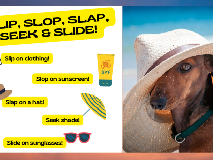 Slip, Slop, Slap, Seek and Slide to protect you and your pet from the sun