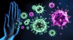 How to Boost Immunity by Supporting Your Gut Health